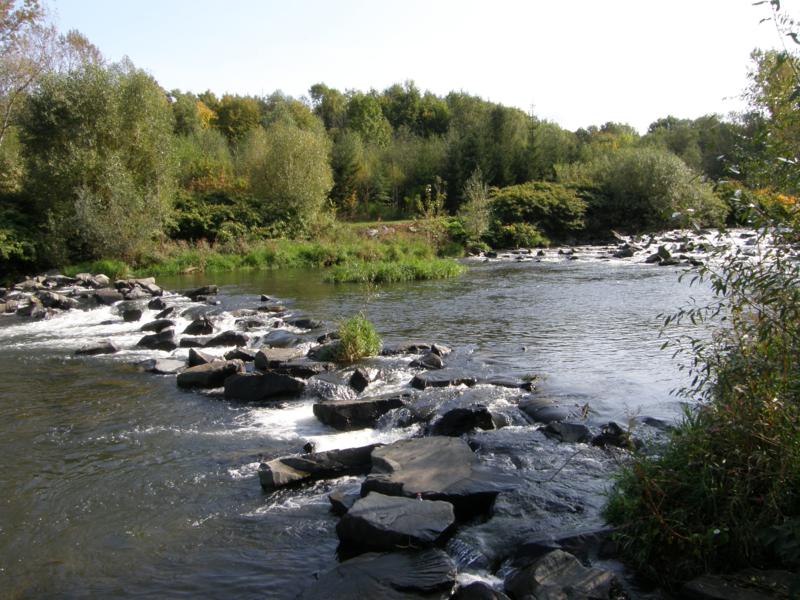 PA052999_800x600