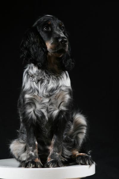 IMG_4677_400x600