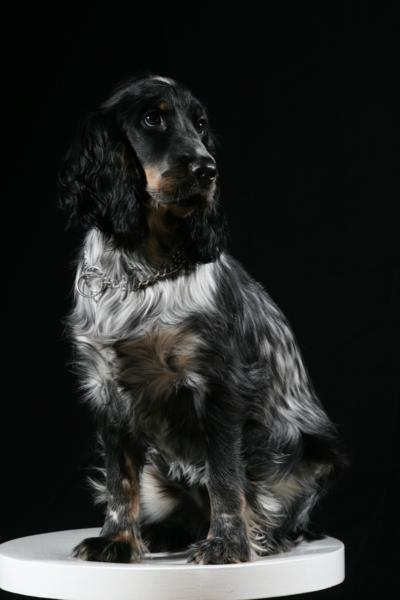 IMG_4681_400x600