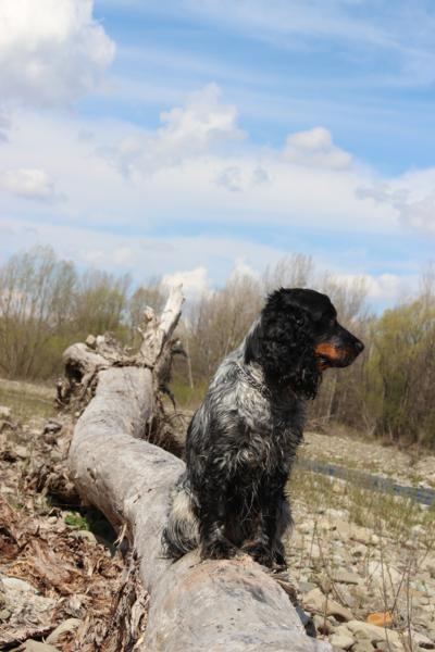 IMG_3503_400x600