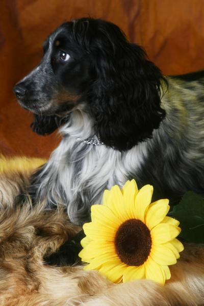 IMG_8819_400x600