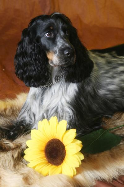 IMG_8822_400x600