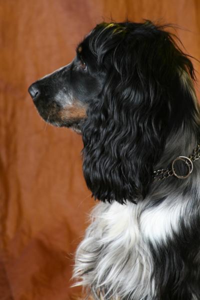 IMG_8830_400x600