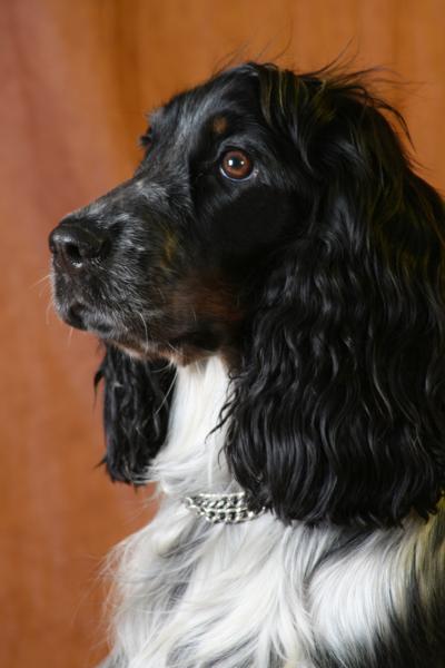 IMG_8833_400x600