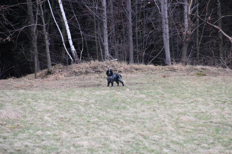 IMG_0473_800x533