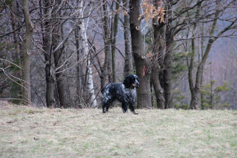 IMG_0474_800x533