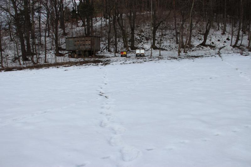 IMG_0520_800x533