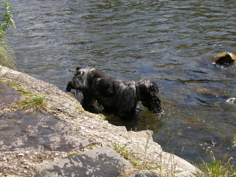 P7020019_800x600