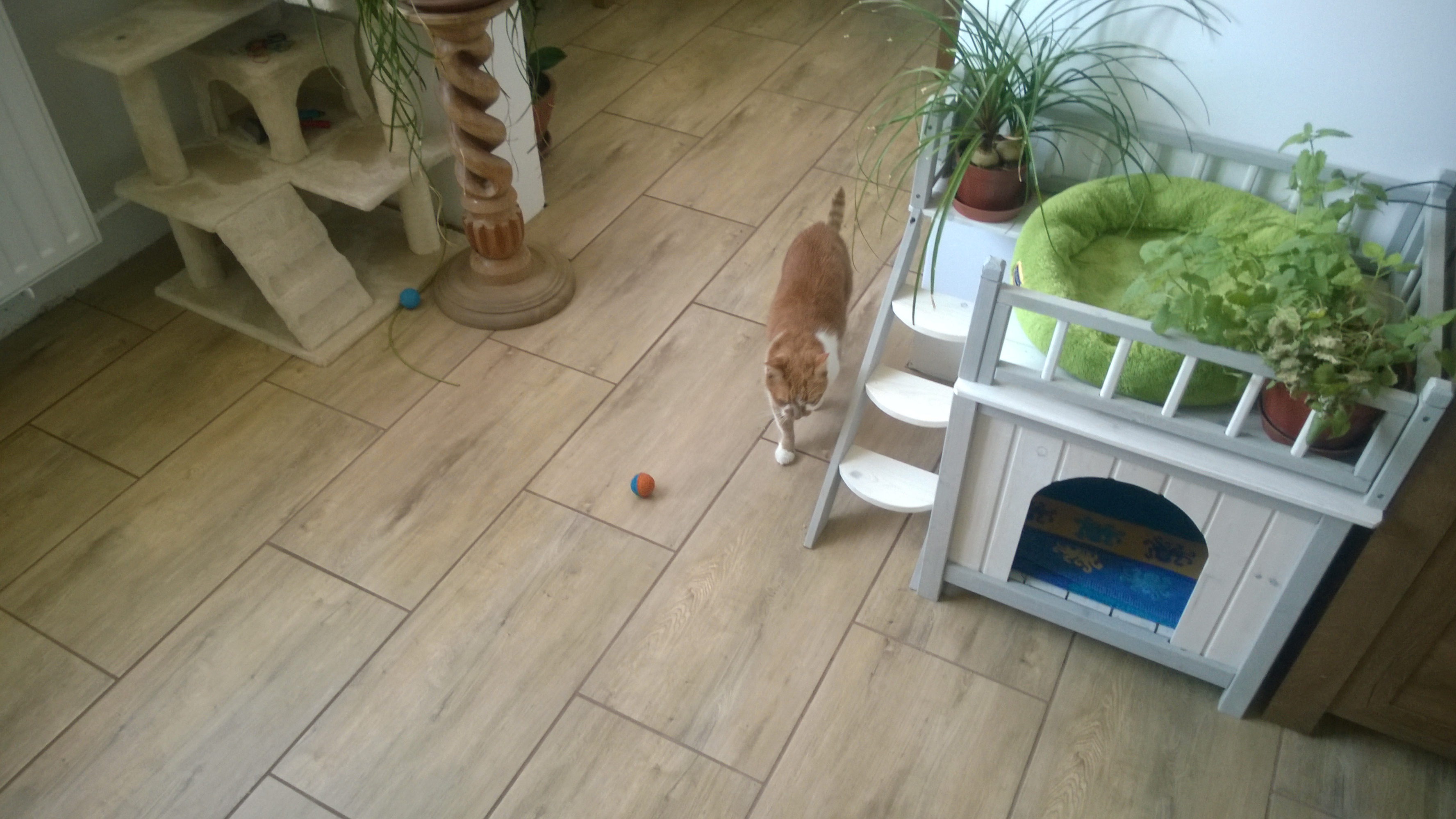 WP_20180506_18_48_57_Pro