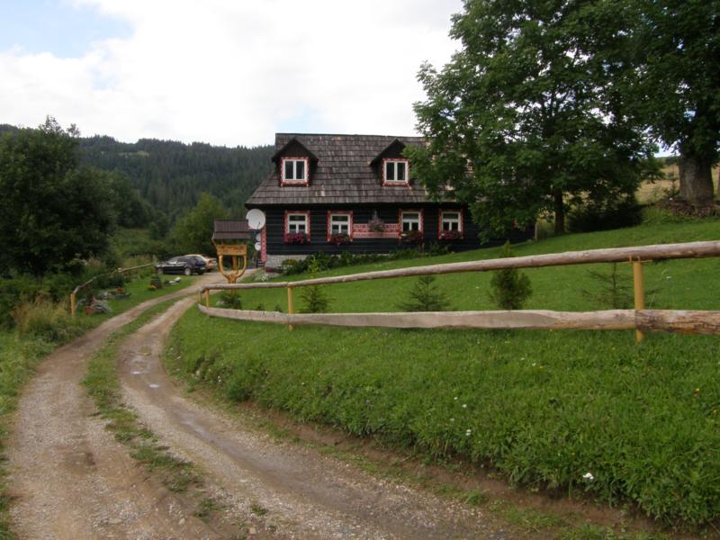 P8100931_800x600