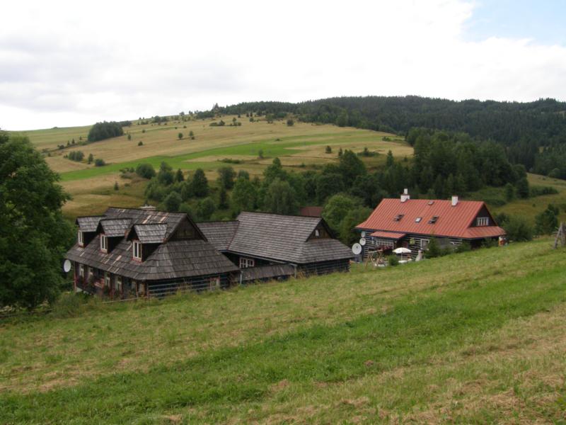 P8100935_800x600