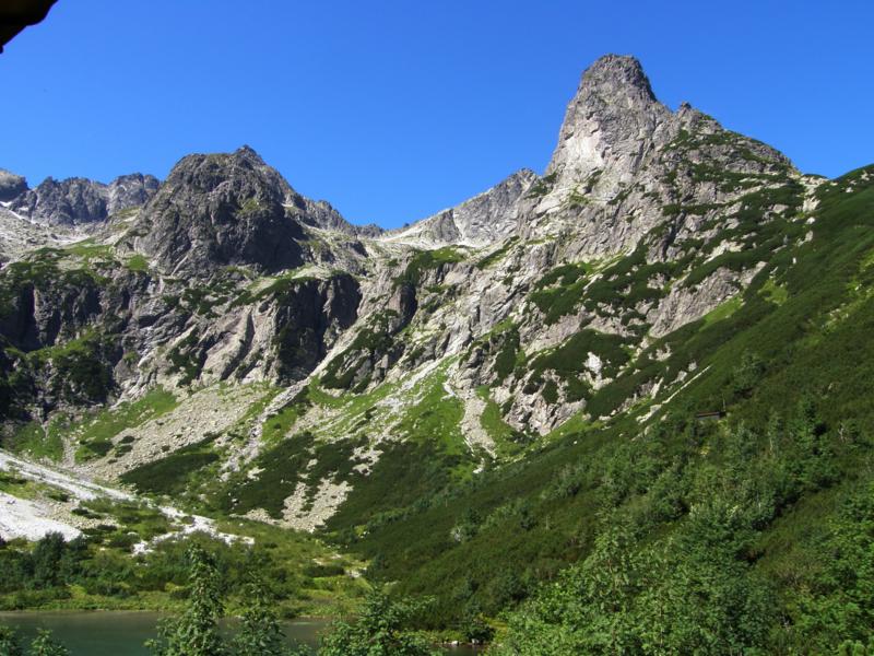 P8121190_800x600