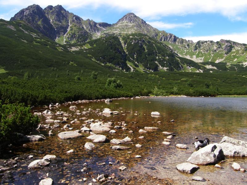 P8121255_800x600