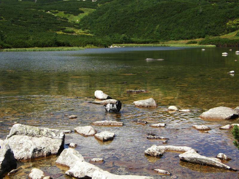 P8121257_800x600