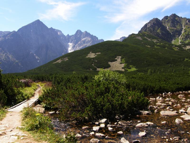 P8121263_800x600