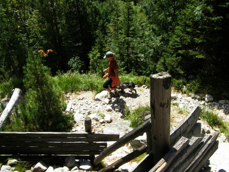 P8121288_800x600