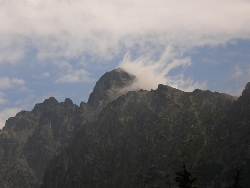 P8141473_800x600