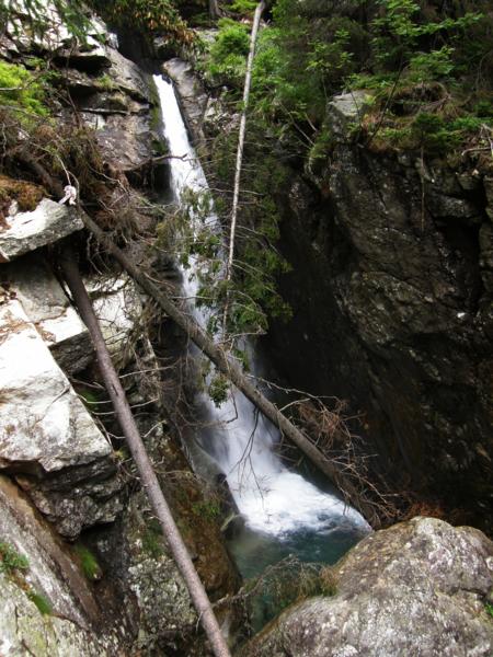 P8141505_450x600
