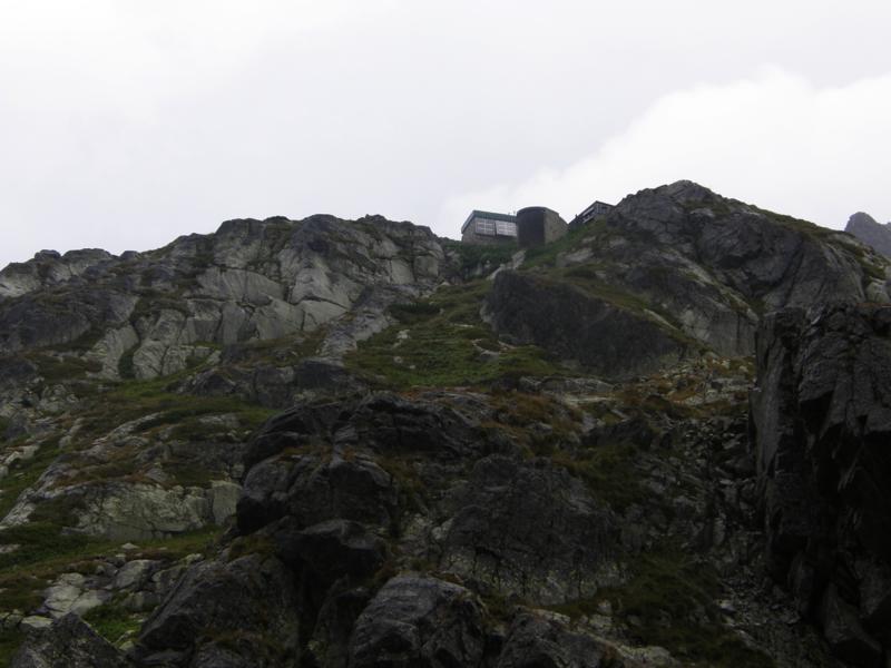 P8141582_800x600