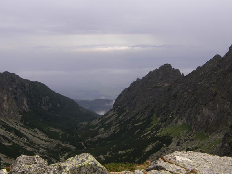 P8141595_800x600