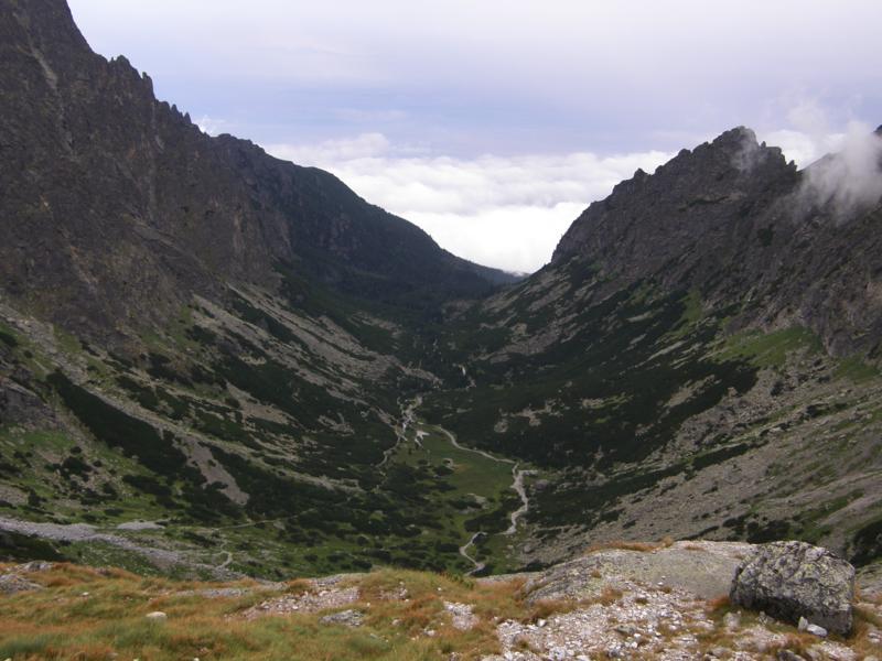 P8141639_800x600