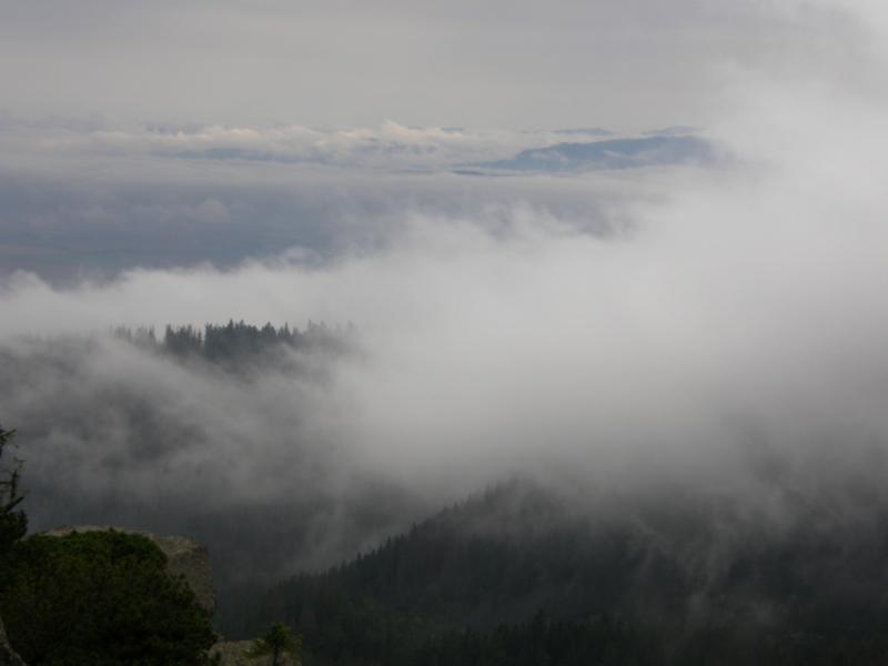 P8141746_800x600