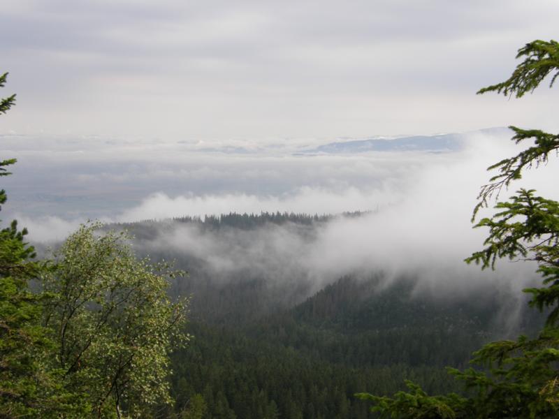 P8141756_800x600