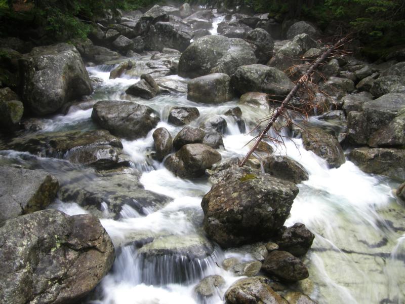 P8141802_800x600