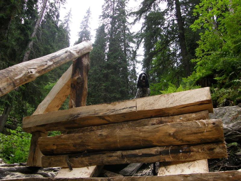 P8202228_800x600