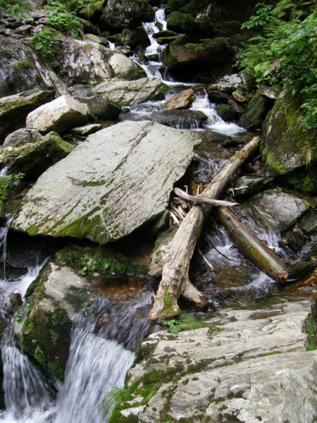 P8202235_450x600