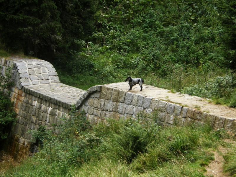 P8202250_800x600
