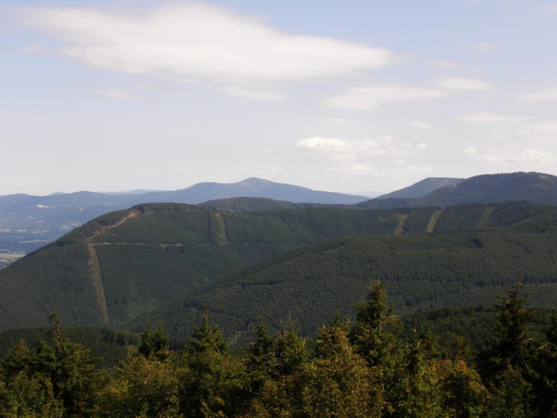 P8212493_800x600