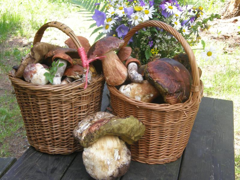 P7010869_800x600