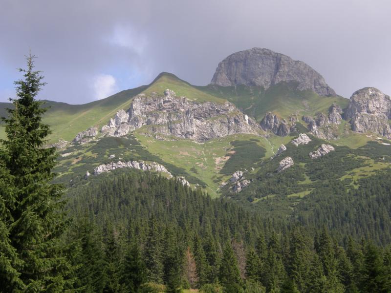 P8177285_800x600