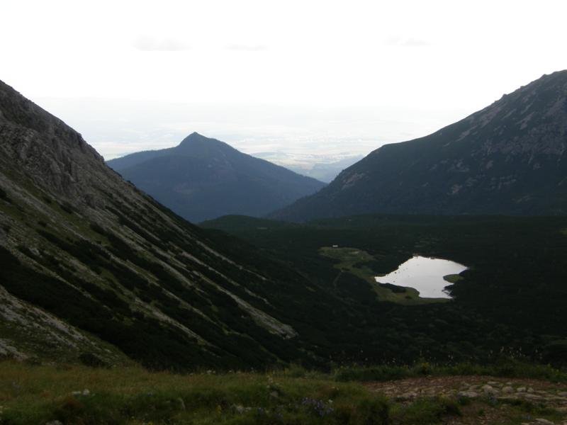 P8177383_800x600