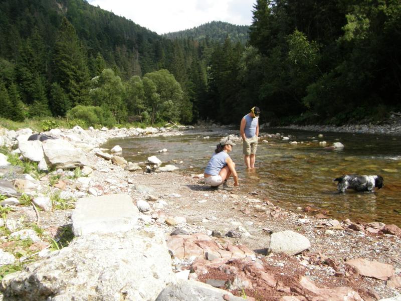 P8187665_800x600