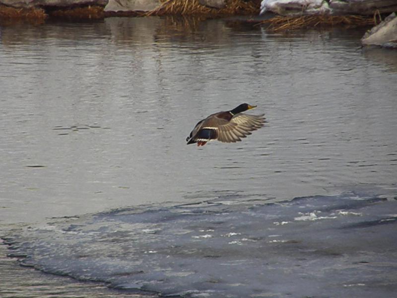 P2059935_800x600